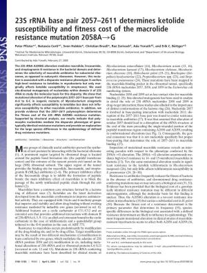 23S Rrna Base Pair 2057–2611 Determines Ketolide Susceptibility and Fitness Cost of the Macrolide Resistance Mutation 2058A3G