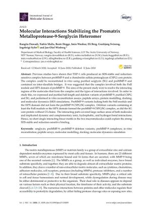 Molecular Interactions Stabilizing the Promatrix Metalloprotease-9·Serglycin Heteromer
