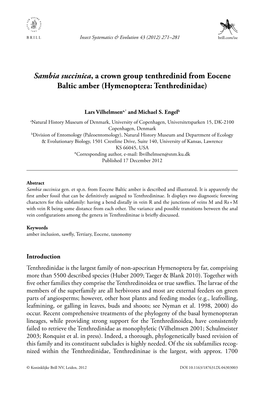 Sambia Succinica, a Crown Group Tenthredinid from Eocene Baltic Amber (Hymenoptera: Tenthredinidae)