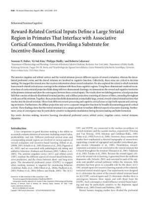Reward-Related Cortical Inputs Define A