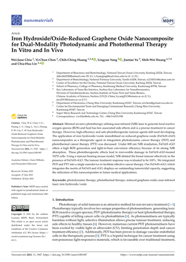 Iron Hydroxide/Oxide-Reduced Graphene Oxide Nanocomposite for Dual-Modality Photodynamic and Photothermal Therapy in Vitro and in Vivo