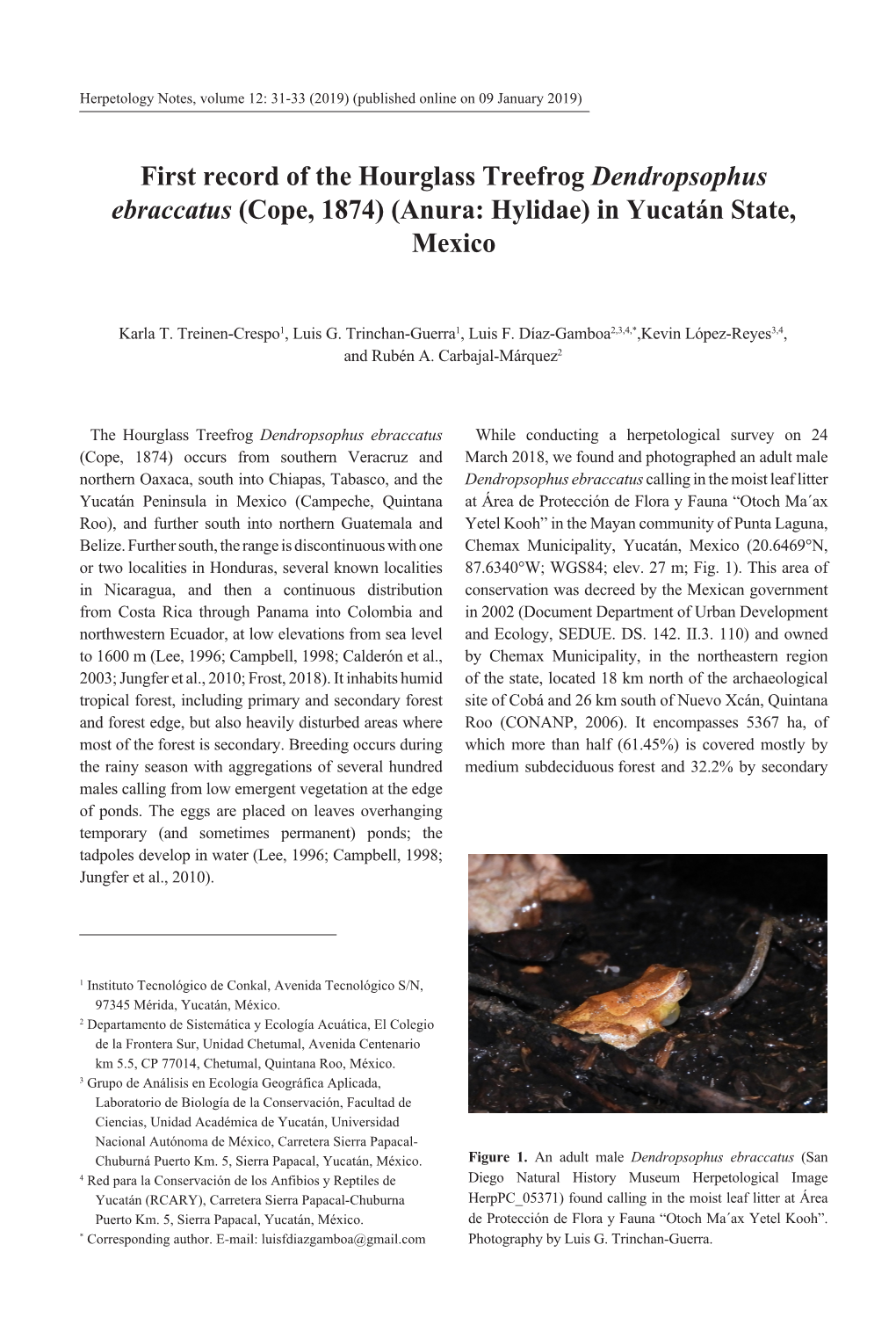 First Record of the Hourglass Treefrog Dendropsophus Ebraccatus (Cope, 1874) (Anura: Hylidae) in Yucatán State, Mexico