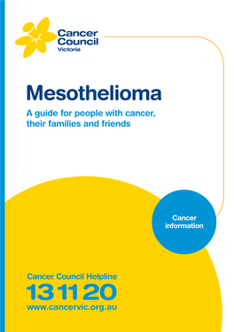 Mesothelioma a Guide for People with Cancer, Their Families and Friends