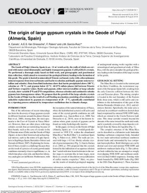 The Origin of Large Gypsum Crystals in the Geode of Pulpí (Almería, Spain) A