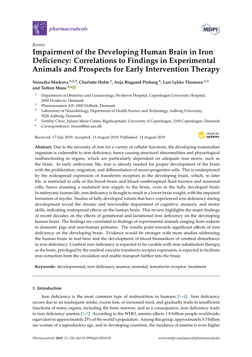 Impairment of the Developing Human Brain in Iron Deficiency