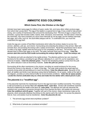Amniotic Egg Coloring