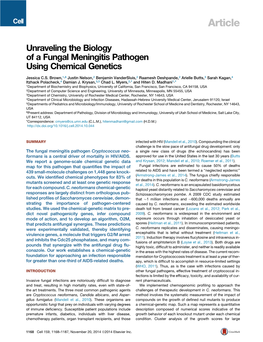 Unraveling the Biology of a Fungal Meningitis Pathogen Using Chemical Genetics