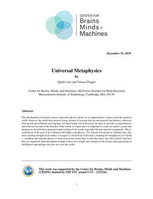 Universal Metaphysics by Qianli Liao and Tomaso Poggio