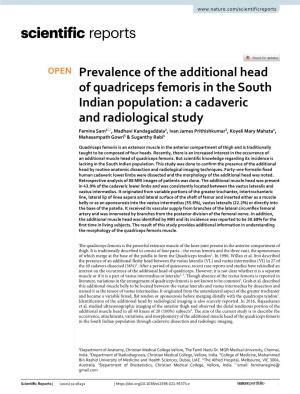 Prevalence of the Additional Head of Quadriceps Femoris in the South Indian Population