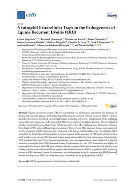 Neutrophil Extracellular Traps in the Pathogenesis of Equine Recurrent Uveitis (ERU)