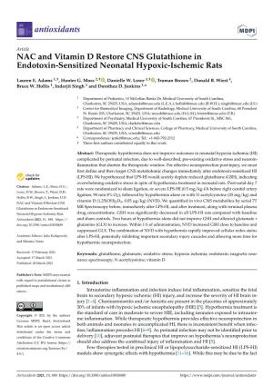 NAC and Vitamin D Restore CNS Glutathione in Endotoxin-Sensitized Neonatal Hypoxic-Ischemic Rats