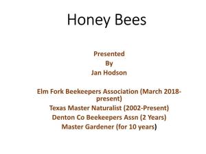 Honey & Other Bee Products