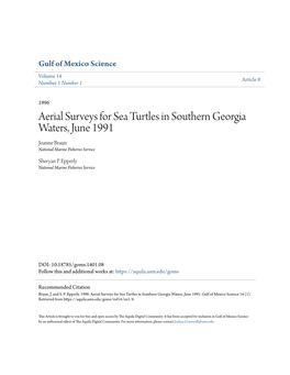 Aerial Surveys for Sea Turtles in Southern Georgia Waters, June 1991 Joanne Braun National Marine Fisheries Service