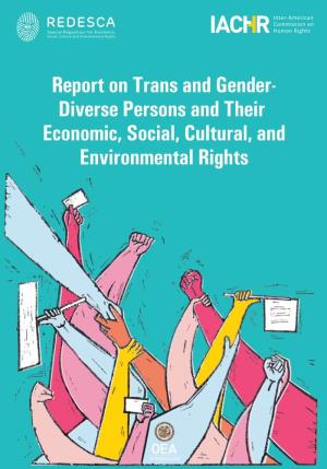 Trans and Gender- Diverse Persons and Their Economic, Social, Cultural, and Environmental Rights