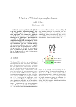 A Review of X-Linked Agammaglobulinemia