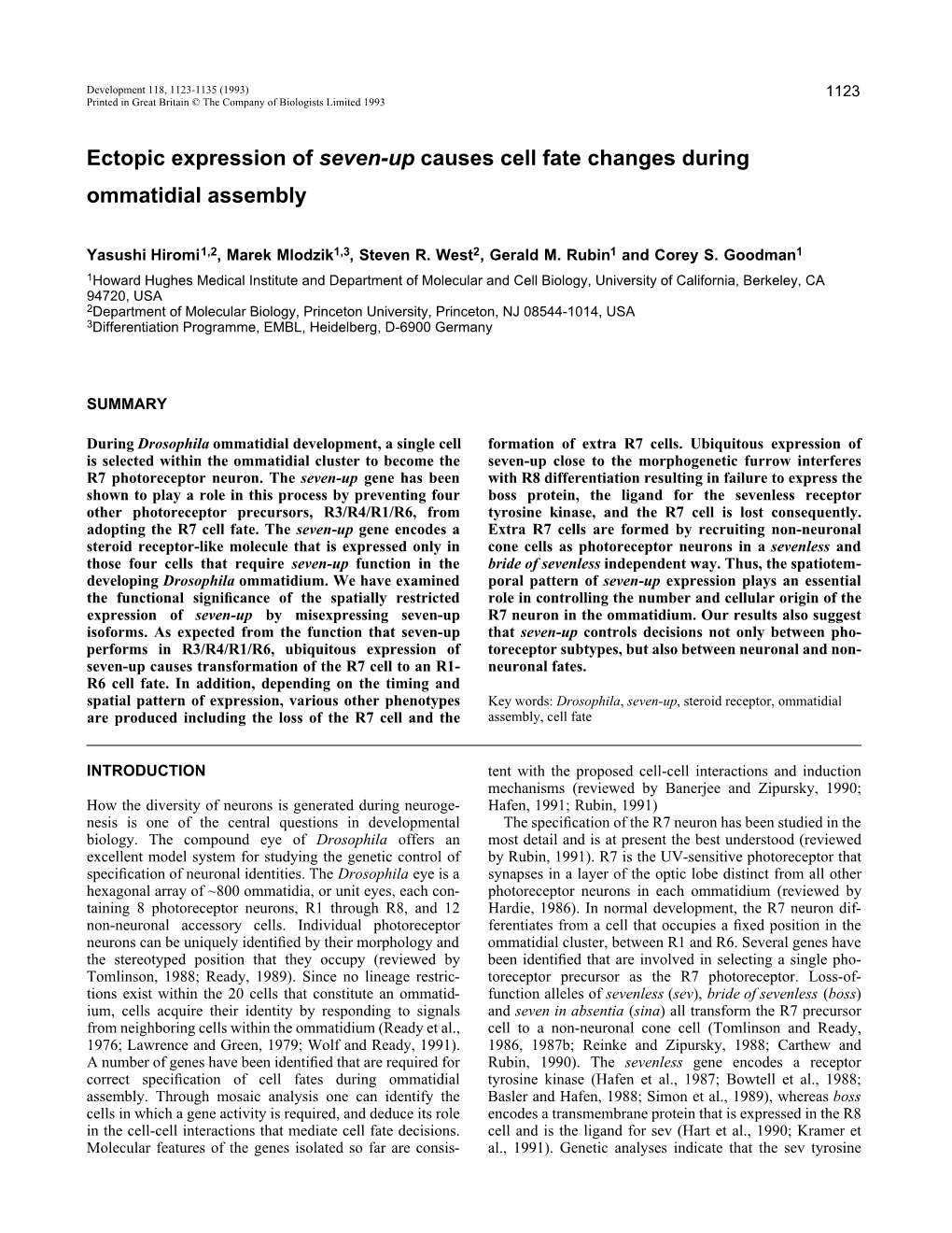 Ectopic Expression of Seven-Up Causes Cell Fate Changes During Ommatidial Assembly