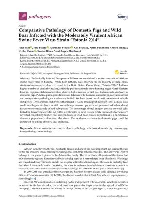Comparative Pathology of Domestic Pigs and Wild Boar Infected with the Moderately Virulent African Swine Fever Virus Strain “Estonia 2014”
