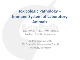 Toxicologic Pathology – Immune System of Laboratory Animals