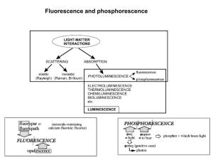 Fluorescence and Phosphorescence Possible De-Excitation Pathways of Excited Molecules