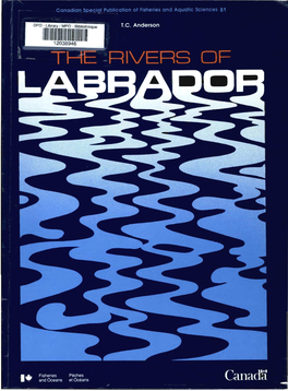 The Rivers of Labrador