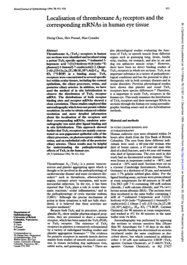 Corresponding Mrnasin Human Eye Tissue