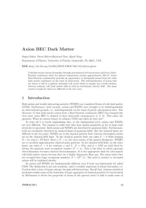 Axion BEC Dark Matter