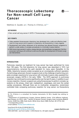 Thoracoscopic Lobectomy for Non-Small Cell Lung Cancer