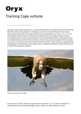 Tracking Cape Vultures