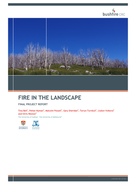 Fire in the Landscape Final Project Report