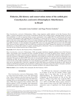 Fisheries, Life-History and Conservation Status of the Catfish Pirá Conorhynchos Conirostris (Ostariophysi: Siluriformes) in Brazil