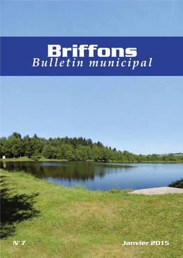 Bulletin Municipal 2015
