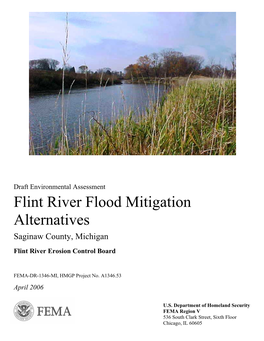Flint River Flood Mitigation Alternatives Saginaw County, Michigan
