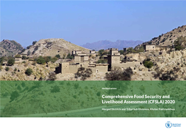 Comprehensive Food Security and Livelihood Assessment (CFSLA) 2020