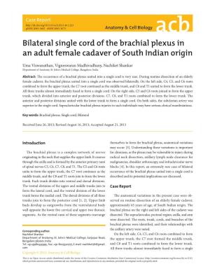 Bilateral Single Cord of the Brachial Plexus in an Adult Female Cadaver of South Indian Origin