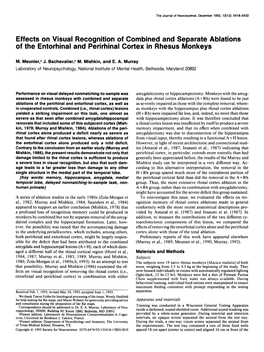 Effects on Visual Recognition of Combined and Separate Ablations of the Entorhinal and Perirhinal Cortex in Rhesus Monkeys