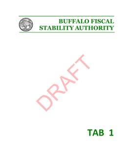 TAB 1 BUFFALO FISCAL STABILITY AUTHORITY Governance Committee Meeting Minutes August 3, 2020