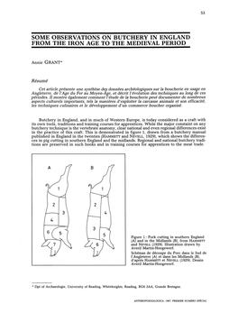 Some Observations on Butchery in England from the Iron Age to the Medieval Period