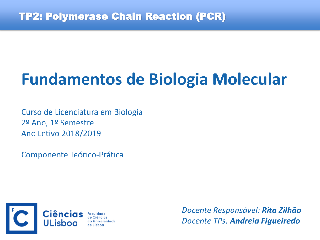 Polymerase Chain Reaction (PCR)