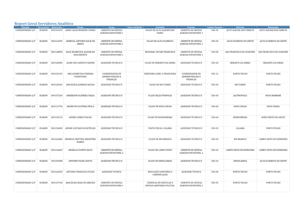 Report Geral Servidores Analitico