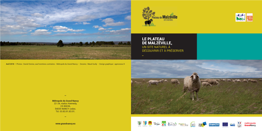 Le Plateau De Malzéville, Un Site Naturel À Découvrir Et À Préserver