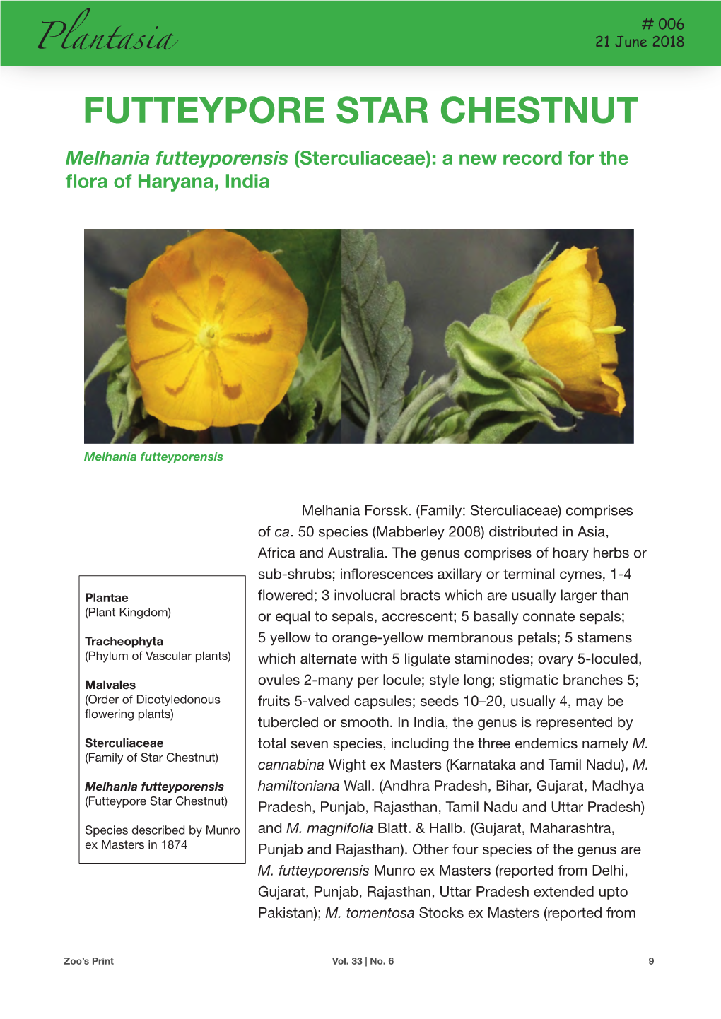 Melhania Futteyporensis (Sterculiaceae): a New Record for the Flora of Haryana, India