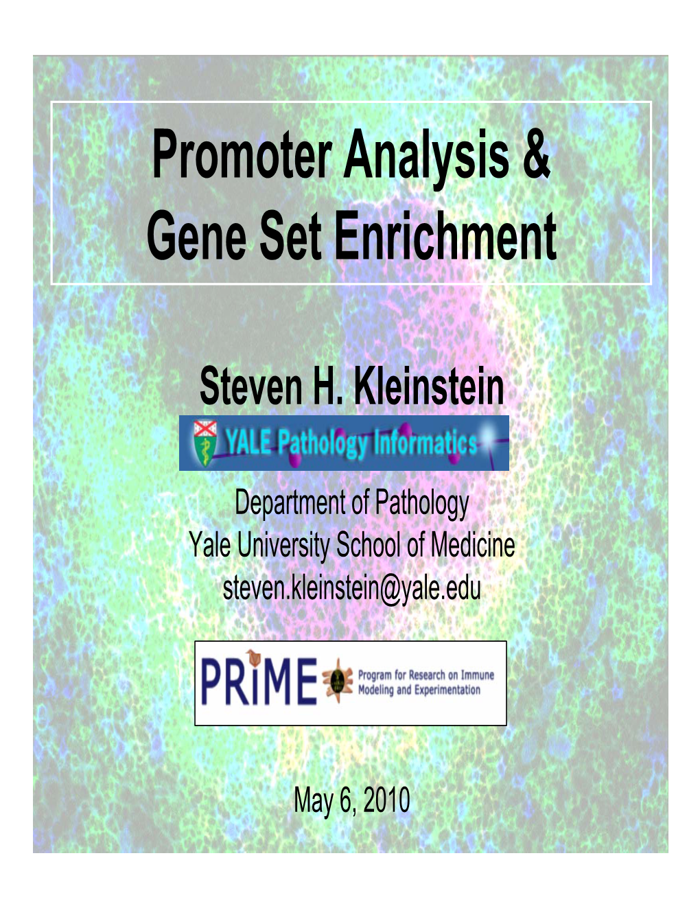 Promoter Analysis & Gene Set Enrichment