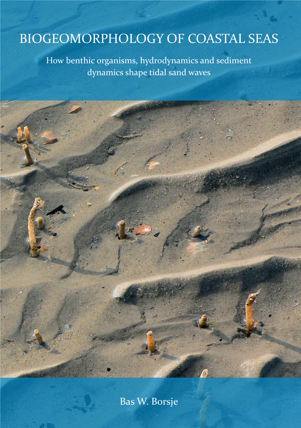 Biogeomorphology of Coastal Seas