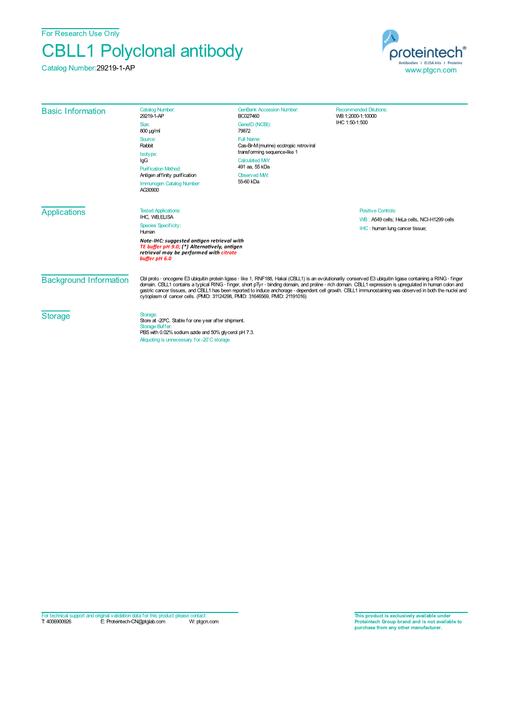 CBLL1 Polyclonal Antibody