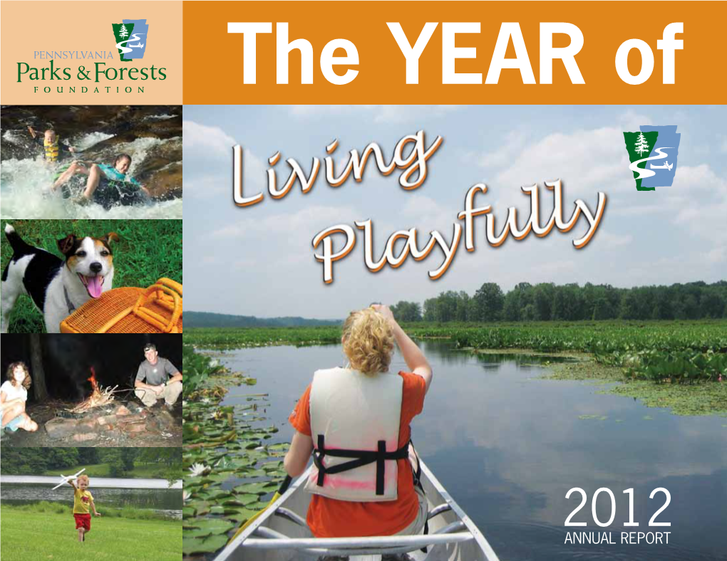 Annual Report 2012