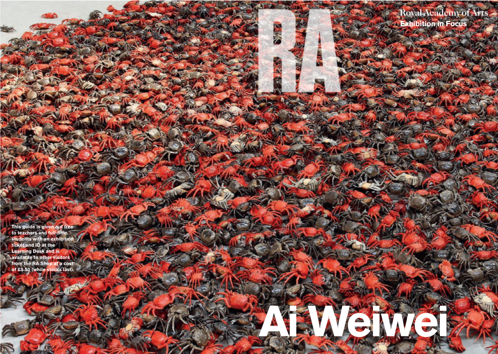 Ai Weiwei ‘An Artwork Unable to Make People Feel Uncomfortable Or to Feel Different an Introduction to the Exhibition Is Not One Worth Creating