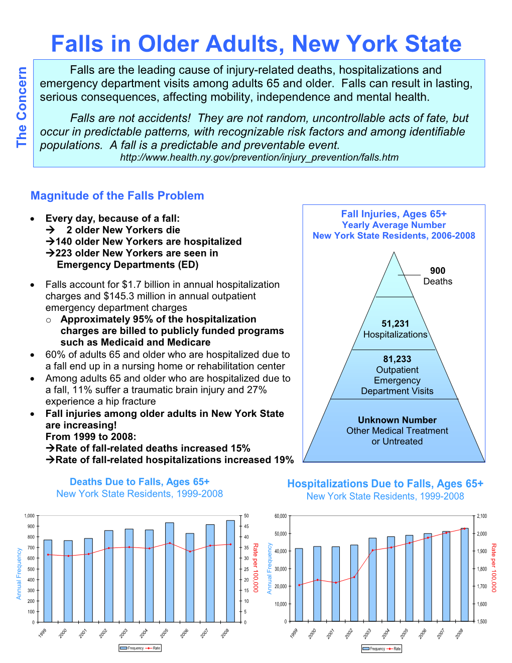 Falls in Older Adults, New York State Falls Are the Leading Cause of Injury-Related Deaths, Hospitalizations and Emergency Department Visits Among Adults 65 and Older