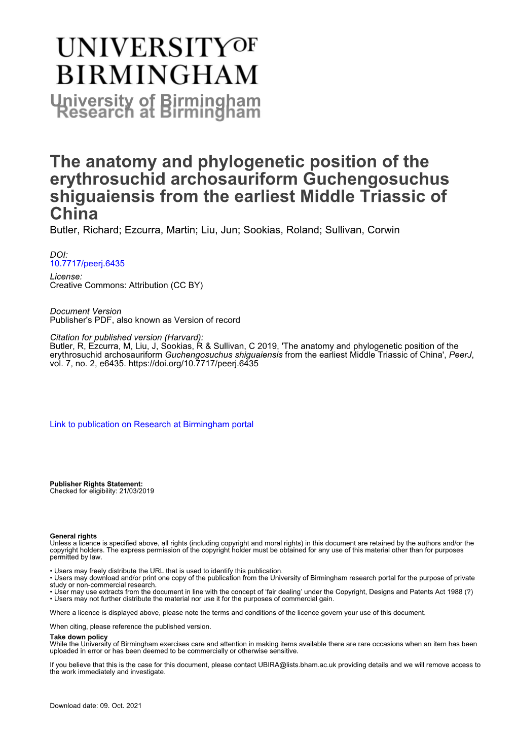 The Anatomy and Phylogenetic Position of The