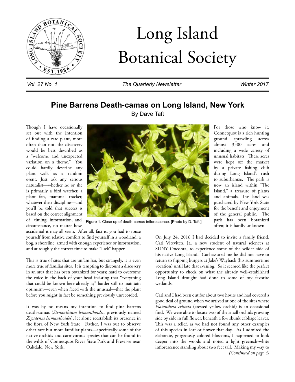 Pine Barrens Death-Camas on Long Island, New York by Dave Taft