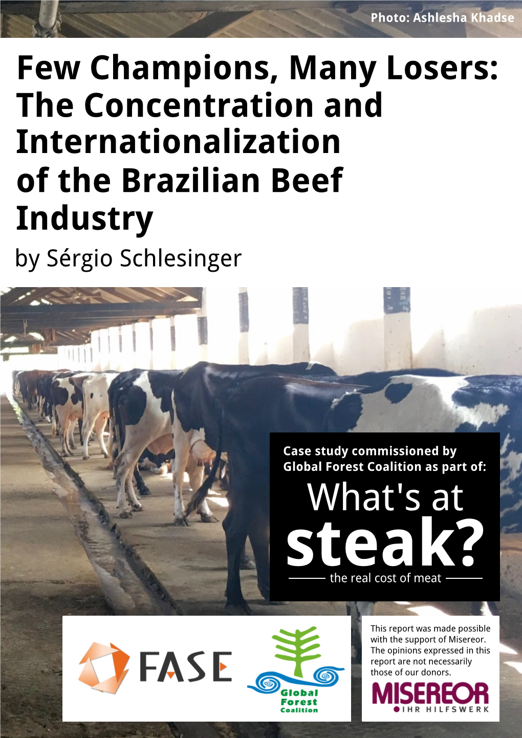 Brazilian Beef Industry Sérgio Schlesinger Brazil Consultant Federação De Órgãos Para Assistência Social E Educacional